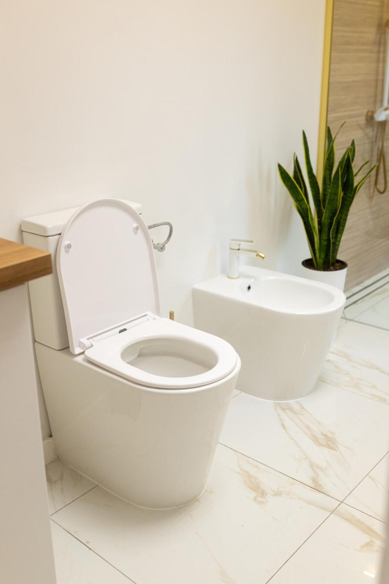 Bleyer Haus Central Apartment Oradea Εξωτερικό φωτογραφία